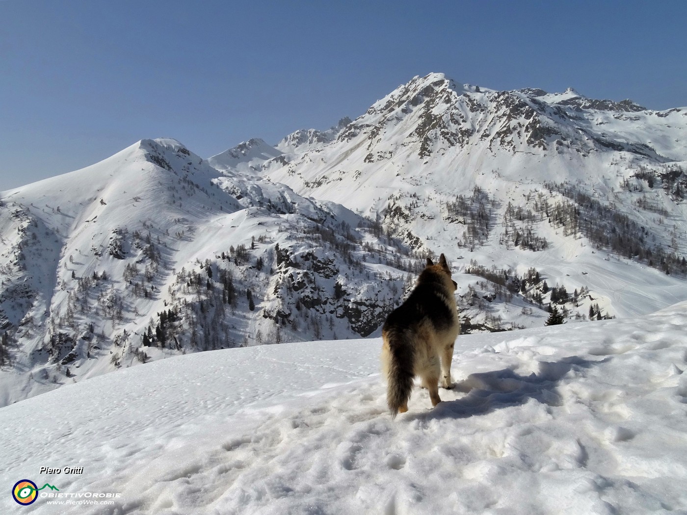 48 Dori osserva per la prima volta queste belle cime.JPG -                                